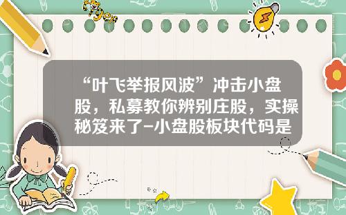 “叶飞举报风波”冲击小盘股，私募教你辨别庄股，实操秘笈来了-小盘股板块代码是多少