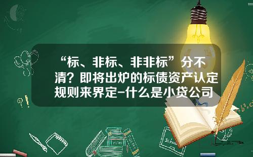 “标、非标、非非标”分不清？即将出炉的标债资产认定规则来界定-什么是小贷公司私募债