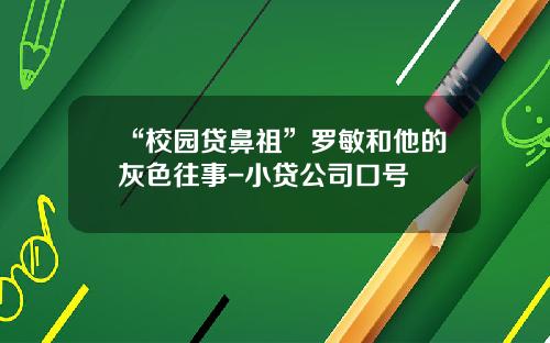 “校园贷鼻祖”罗敏和他的灰色往事-小贷公司口号