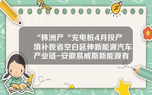 “株洲产“充电桩4月投产填补我省空白延伸新能源汽车产业链-安徽易威斯新能源有限公司
