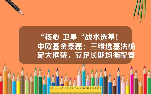 “核心+卫星“战术选基！中欧基金桑磊：三维选基法确定大框架，立足长期均衡配置-三维基金