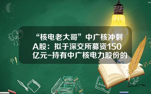 “核电老大哥”中广核冲刺A股：拟于深交所募资150亿元-持有中广核电力股份的国内公司