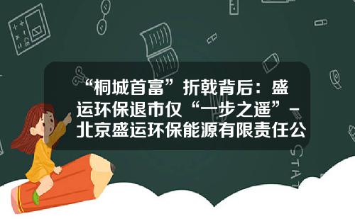 “桐城首富”折戟背后：盛运环保退市仅“一步之遥”-北京盛运环保能源有限责任公司