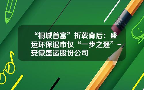 “桐城首富”折戟背后：盛运环保退市仅“一步之遥”-安徽盛运股份公司
