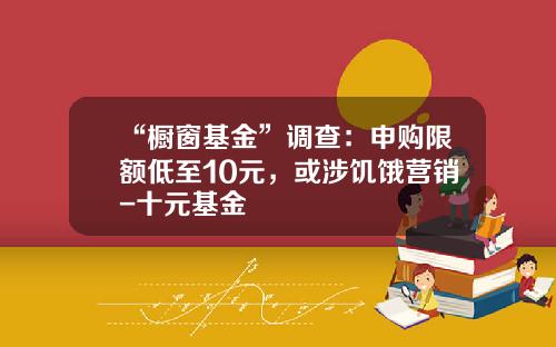 “橱窗基金”调查：申购限额低至10元，或涉饥饿营销-十元基金