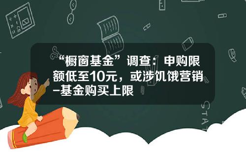 “橱窗基金”调查：申购限额低至10元，或涉饥饿营销-基金购买上限