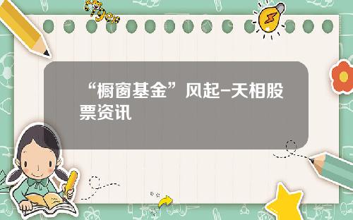 “橱窗基金”风起-天相股票资讯