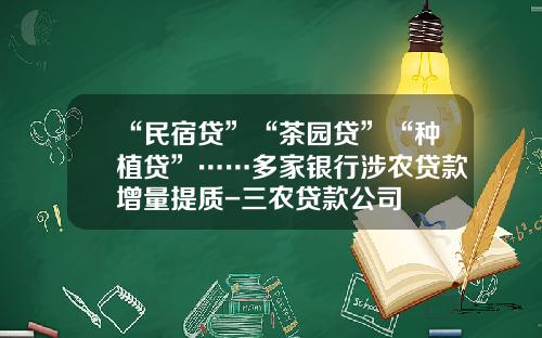 “民宿贷”“茶园贷”“种植贷”……多家银行涉农贷款增量提质-三农贷款公司