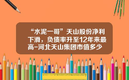 “水泥一哥”天山股份净利下滑，负债率升至12年来最高-河北天山集团市值多少