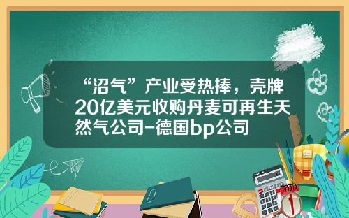 “沼气”产业受热捧，壳牌20亿美元收购丹麦可再生天然气公司-德国bp公司