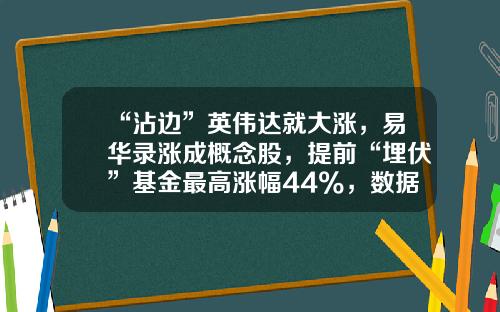 “沾边”英伟达就大涨，易华录涨成概念股，提前“埋伏”基金最高涨幅44%，数据要素成投资热点-2017年基金收益排名