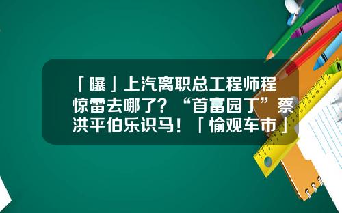 「曝」上汽离职总工程师程惊雷去哪了?“首富园丁”蔡洪平伯乐识马!「愉观车市」-仲德基金【新闻】