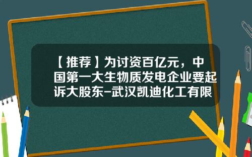 【推荐】为讨资百亿元,中国第一大生物质发电企业要起诉大股东-武汉凯迪化工有限公司