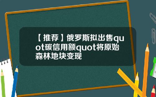 【推荐】俄罗斯拟出售quot碳信用额quot将原始森林地块变现