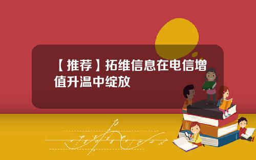 【推荐】拓维信息在电信增值升温中绽放