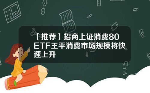 【推荐】招商上证消费80ETF王平消费市场规模将快速上升