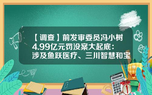 【调查】前发审委员冯小树4.99亿元罚没案大起底：涉及鱼跃医疗、三川智慧和宝莱特-万福生科来往公司造假情况