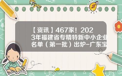 【资讯】467家！2023年福建省专精特新中小企业名单（第一批）出炉-广东宝达游艇有限公司