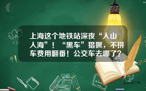 上海这个地铁站深夜“人山人海”!“黑车”猖獗,不拼车费用翻番!公交车去哪了?-4分利息15万一天是多少怎样算【新闻】.