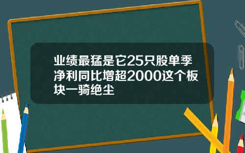 业绩最猛是它25只股单季净利同比增超2000这个板块一骑绝尘