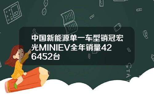 中国新能源单一车型销冠宏光MINIEV全年销量426452台