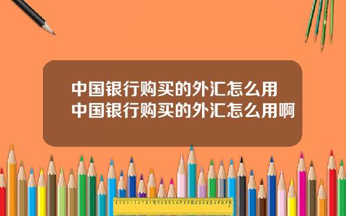 中国银行购买的外汇怎么用中国银行购买的外汇怎么用啊