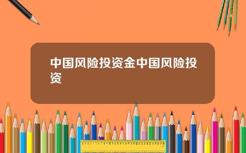 中国风险投资金中国风险投资