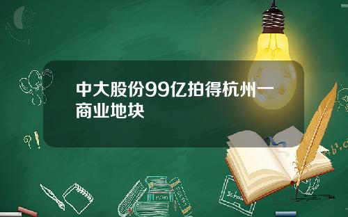中大股份99亿拍得杭州一商业地块