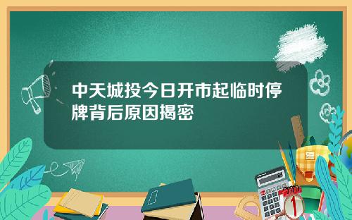 中天城投今日开市起临时停牌背后原因揭密