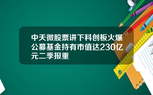 中天微股票讲下科创板火爆公募基金持有市值达230亿元二季报重