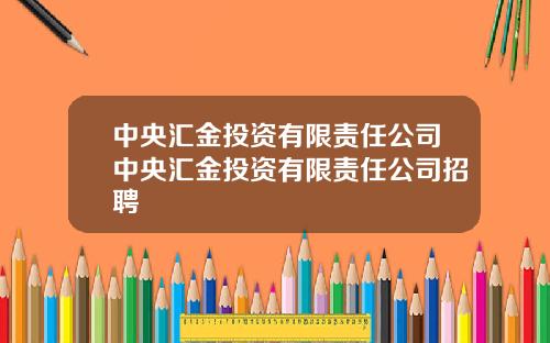 中央汇金投资有限责任公司中央汇金投资有限责任公司招聘