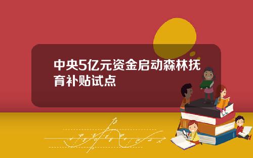 中央5亿元资金启动森林抚育补贴试点