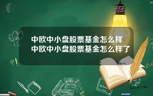 中欧中小盘股票基金怎么样中欧中小盘股票基金怎么样了