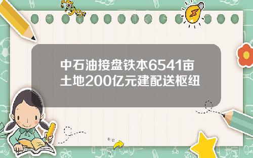 中石油接盘铁本6541亩土地200亿元建配送枢纽