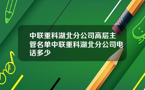 中联重科湖北分公司高层主管名单中联重科湖北分公司电话多少