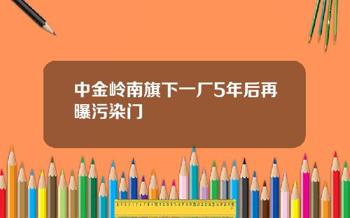 中金岭南旗下一厂5年后再曝污染门