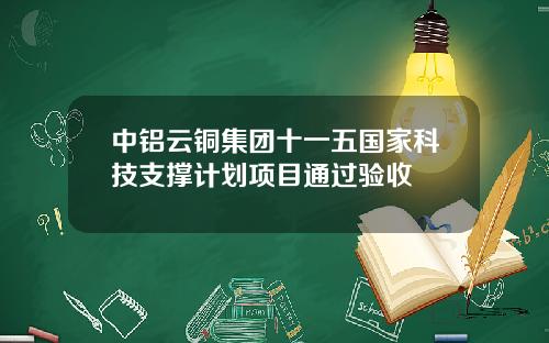 中铝云铜集团十一五国家科技支撑计划项目通过验收