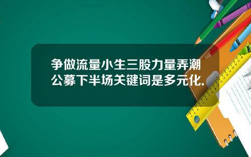 争做流量小生三股力量弄潮公募下半场关键词是多元化.