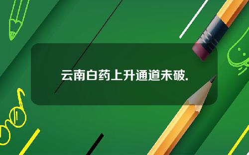云南白药上升通道未破.
