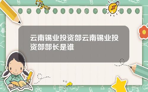 云南锡业投资部云南锡业投资部部长是谁
