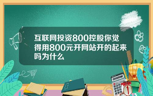 互联网投资800控股你觉得用800元开网站开的起来吗为什么