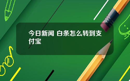 今日新闻 白条怎么转到支付宝