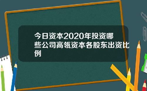 今日资本2020年投资哪些公司高瓴资本各股东出资比例