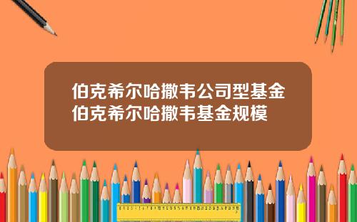 伯克希尔哈撒韦公司型基金伯克希尔哈撒韦基金规模