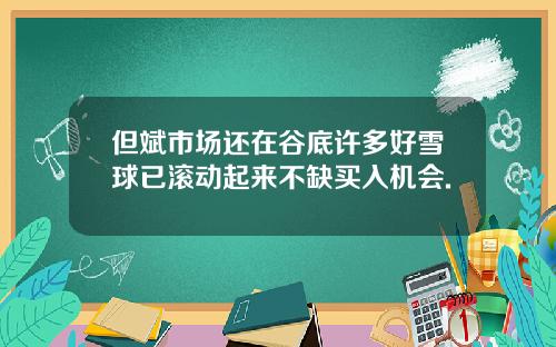 但斌市场还在谷底许多好雪球已滚动起来不缺买入机会.