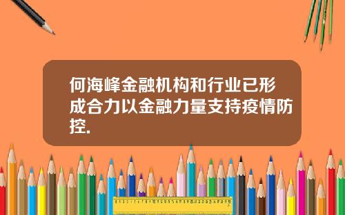 何海峰金融机构和行业已形成合力以金融力量支持疫情防控.