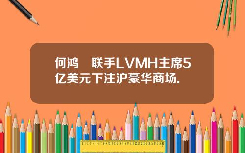 何鸿燊联手LVMH主席5亿美元下注沪豪华商场.