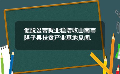 促脱贫带就业稳增收山南市隆子县扶贫产业基地见闻.