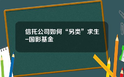 信托公司如何“另类”求生-国影基金