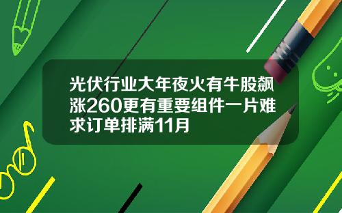 光伏行业大年夜火有牛股飙涨260更有重要组件一片难求订单排满11月